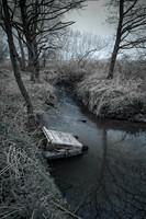 Country stream