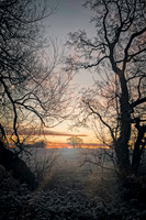 Cold Dawn